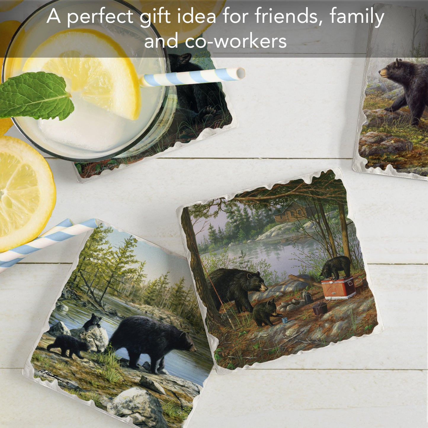 Thirstystone Keeping Watch Bear 4-Pack Tumbled Tile Stone Coasters 4" Square