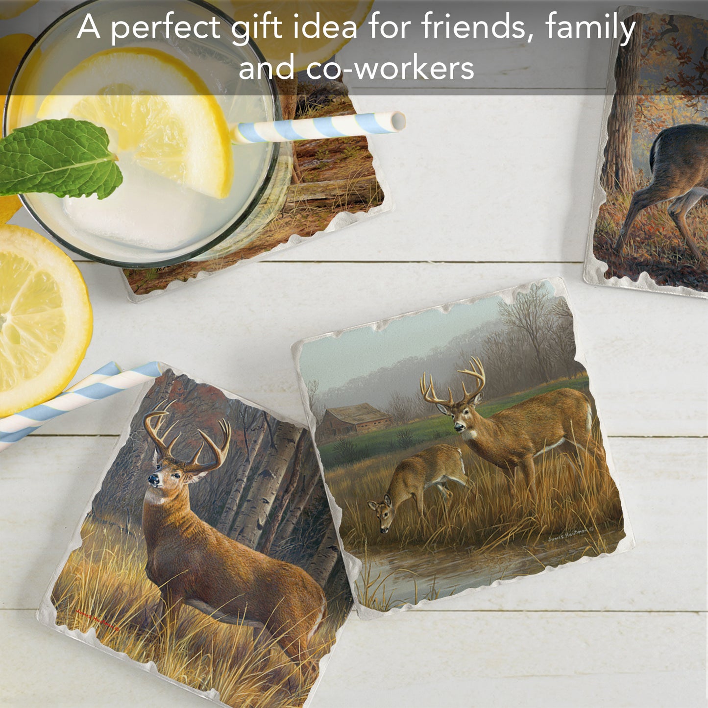 Thirstystone Legends Deer 4-Pack Assorted Tumbled Tile Stone Coasters 4" Square