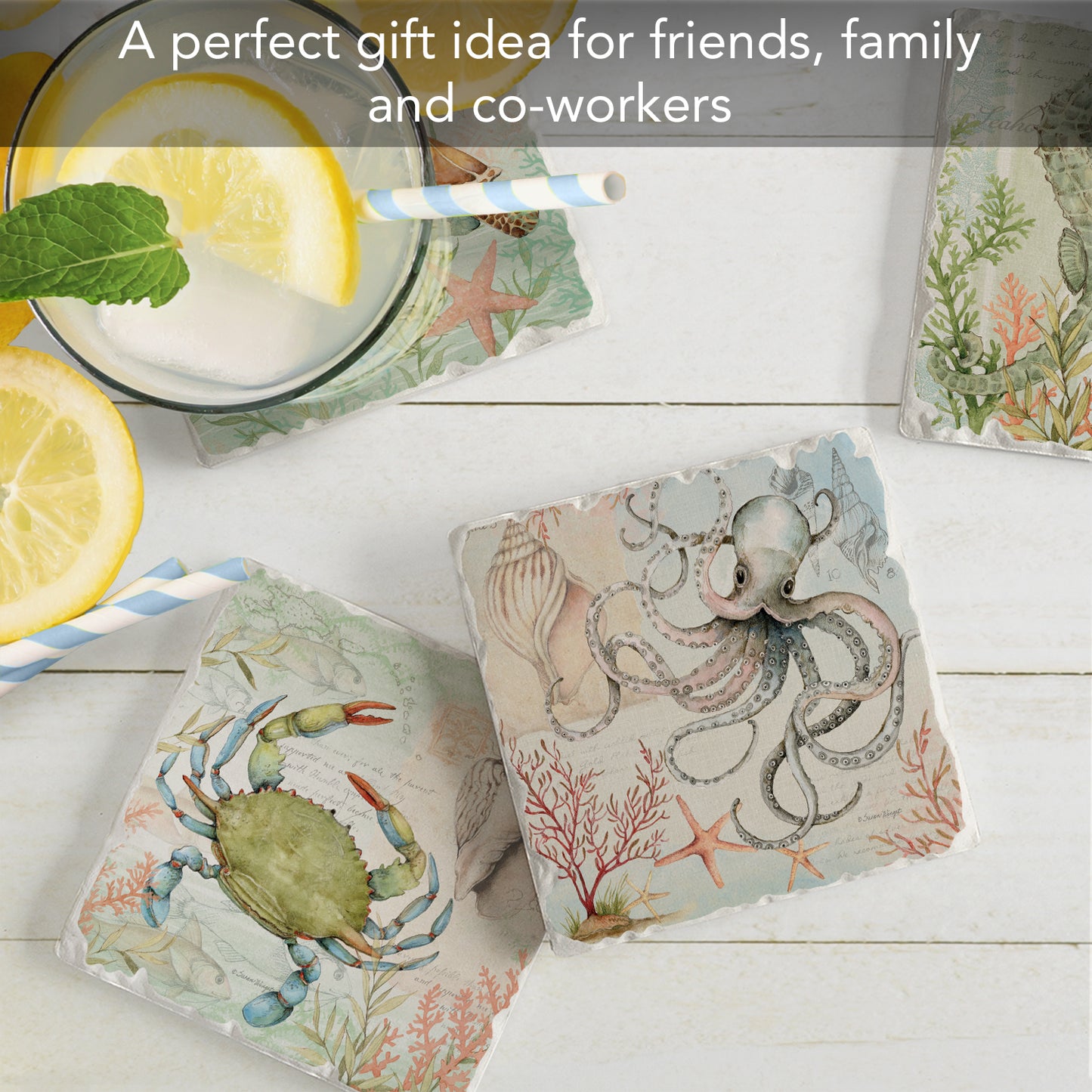 Thirstystone Caribbean Sea Life 4 Pack Assorted Tumbled Tile Stone Coasters 4" Square