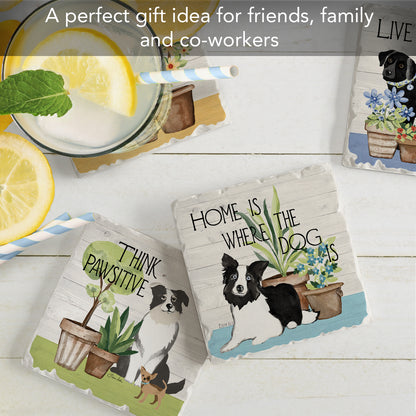 Thirstystone Bark & Bone Dogs 4-Pack Tumbled Tile Stone Coasters 4" Square