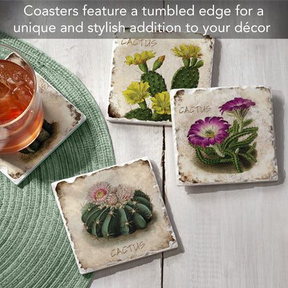 Thirstystone Cactus Flowers 4 Pack Assorted Tumbled Tile Stone Coasters 4" Square