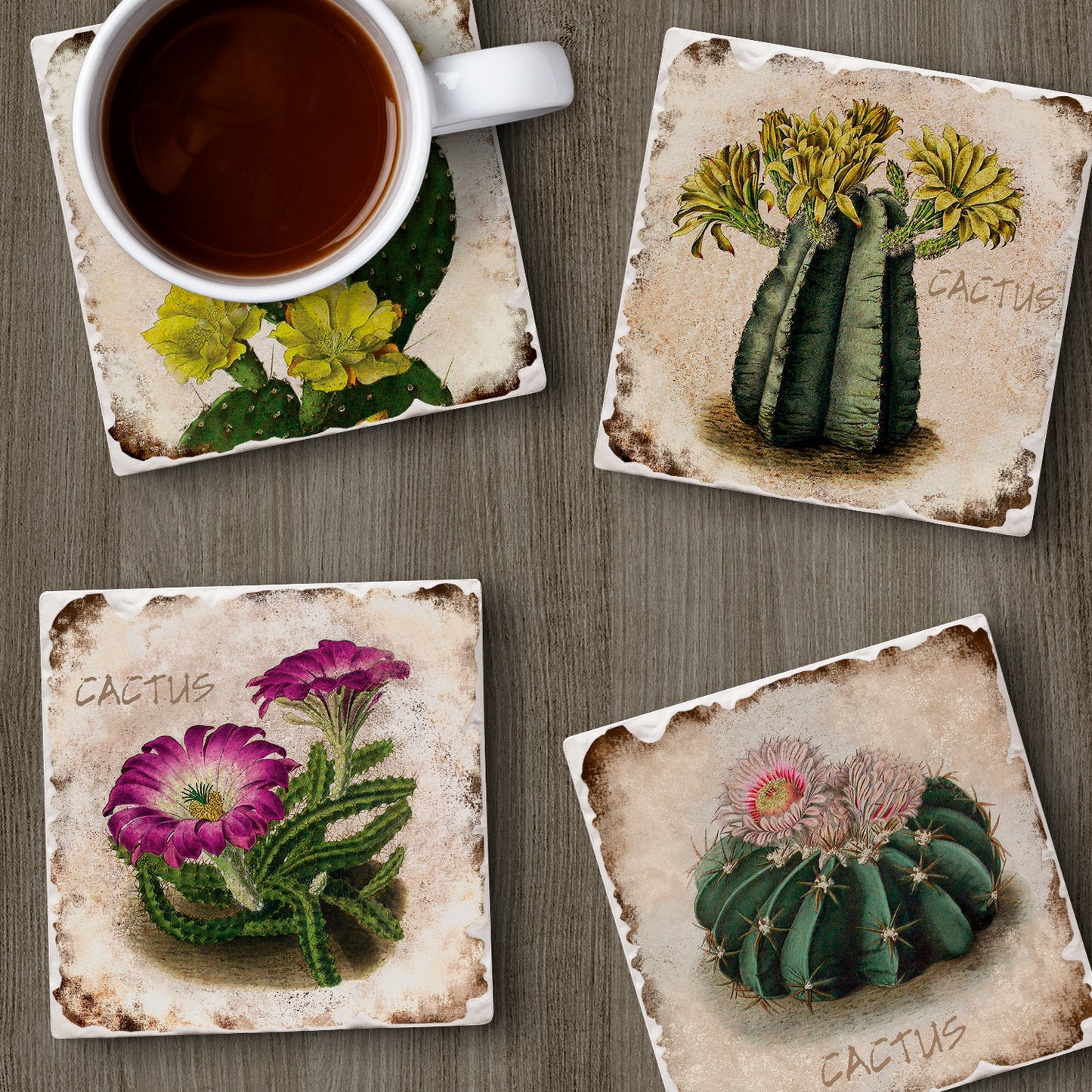 Thirstystone Cactus Flowers 4 Pack Assorted Tumbled Tile Stone Coasters 4" Square