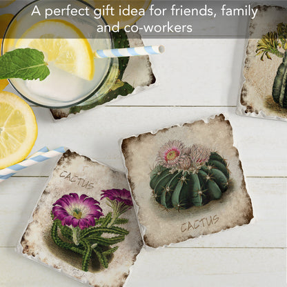 Thirstystone Cactus Flowers 4 Pack Assorted Tumbled Tile Stone Coasters 4" Square