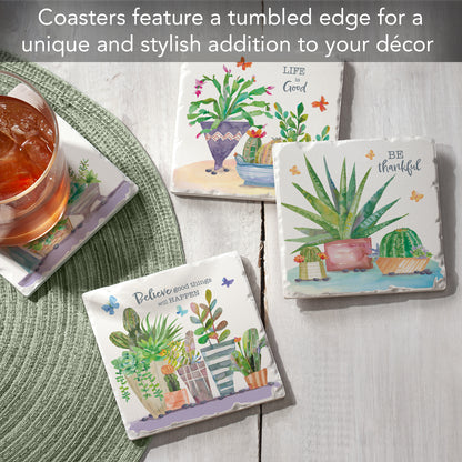 Thirstystone Desert Flora 4-Pack Tumbled Tile Stone Coasters 4" Square