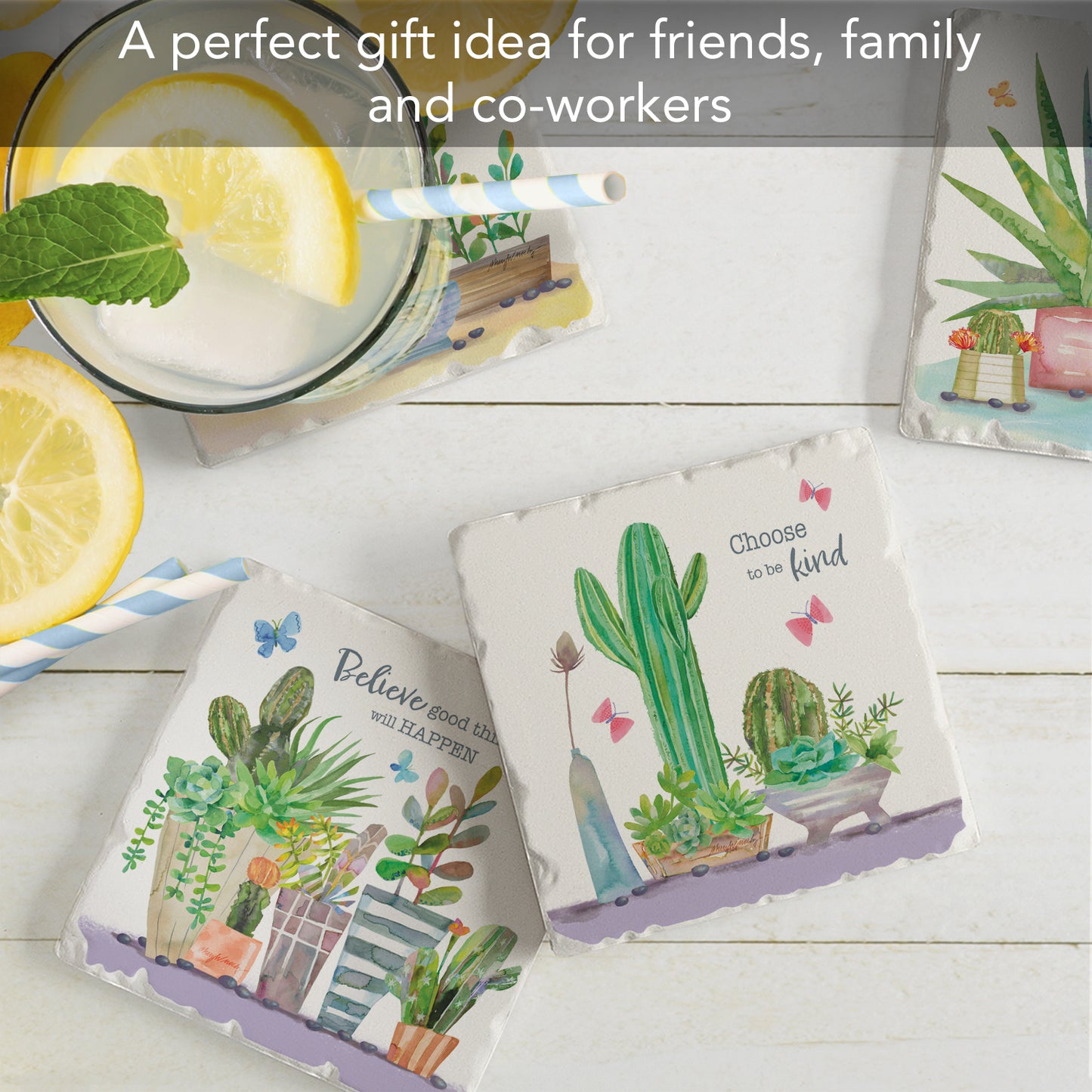 Thirstystone Desert Flora 4-Pack Tumbled Tile Stone Coasters 4" Square