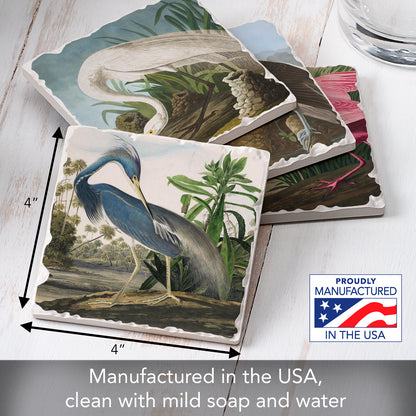 Thirstystone John James Audubon Collection 4-Pack Assorted Tumbled Tile Stone Coasters 4" Square
