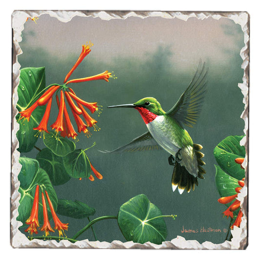 Thirstystone Hovering Hummingbird Single Tumbled Tile Stone Coaster with Protective Cork Backing Manufactured in The USA 4" Square, Artistic, Easily Wipes Clean