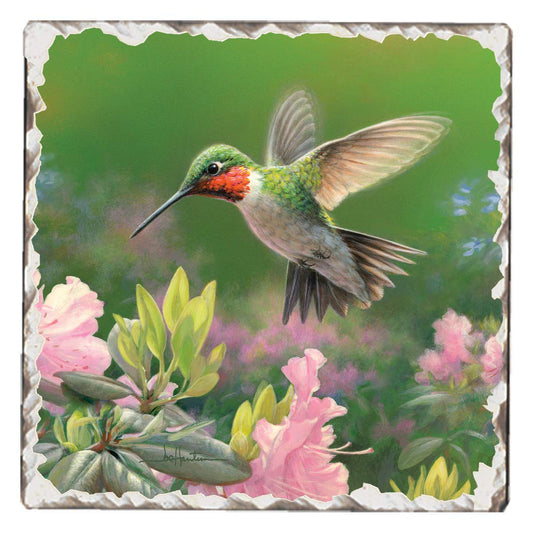 Thirstystone Hummingbird Nectar Single Tumbled Tile Stone Coaster with Protective Cork Backing Manufactured in The USA 4" Square, Artistic, Easily Wipes Clean