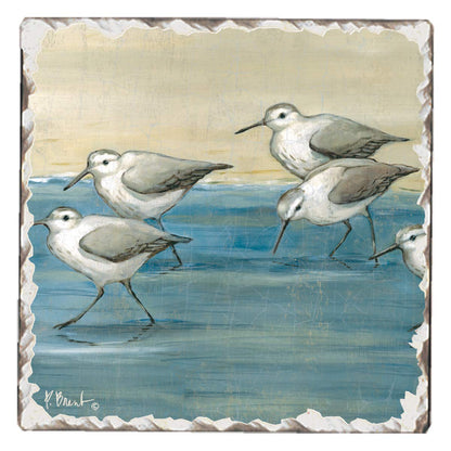 Thirstystone Beach Sandpipers Single Tumbled Tile Stone Coaster with Protective Cork Backing Manufactured in The USA 4" Square, Colorful, Artistiic, Easily Wipes Clean