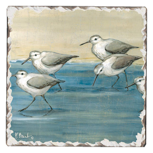 Thirstystone Beach Sandpipers Single Tumbled Tile Stone Coaster with Protective Cork Backing Manufactured in The USA 4" Square, Colorful, Artistiic, Easily Wipes Clean