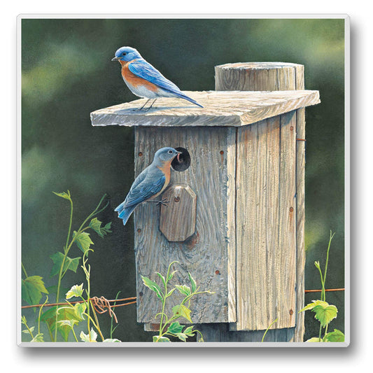 Thirstystone Bluebird Home Single Tumbled Tile Stone Coaster with Protective Cork Backing Manufactured in The USA 4" Square, Artistic, Easily Wipes Clean