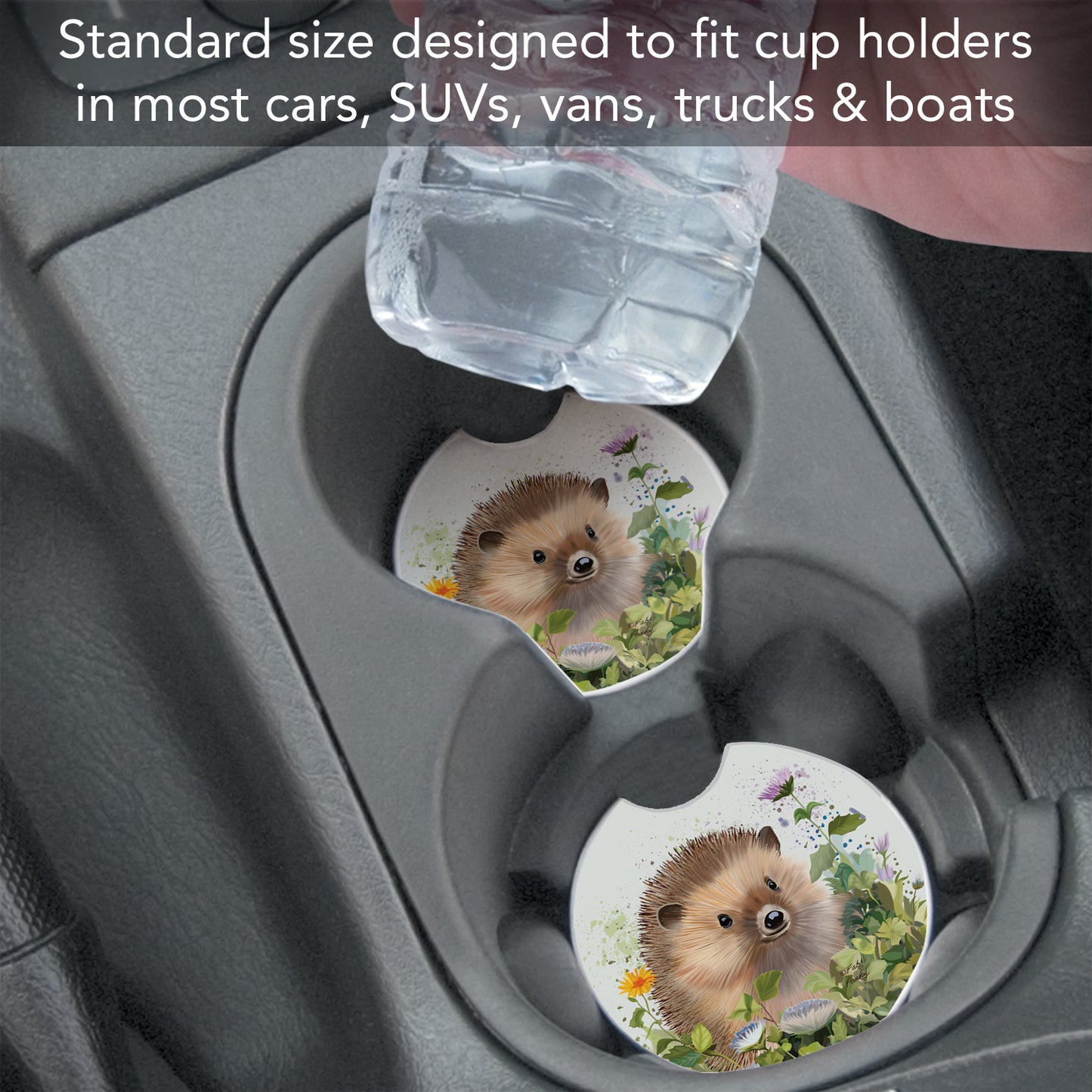 Hedgehog in Ivy 2 Pack Absorbent Stone Car Coasters 2.6" Manufactured in the USA