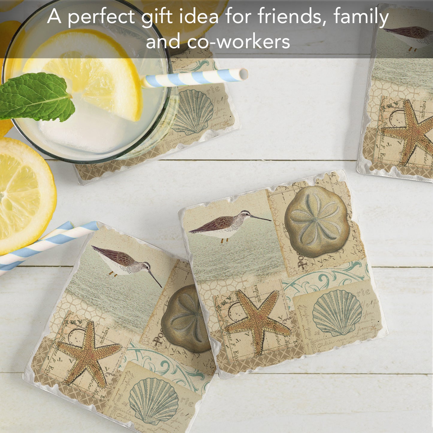 Thirstystone Shell Collage 4 Pack Tumbled Tile Stone Coasters 4" Square Manufactured in the USA
