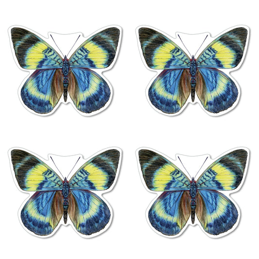 CounterArt 4 Pack Butterfly Shaped Reversible Easy Care Placemats Made in the USA