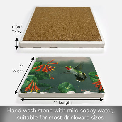 Thirstystone Hovering Hummingbird Single Tumbled Tile Stone Coaster with Protective Cork Backing Manufactured in The USA 4" Square, Artistic, Easily Wipes Clean