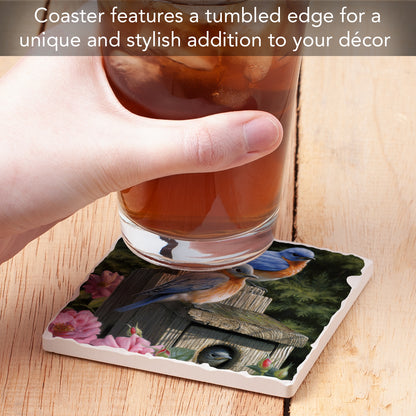 Thirstystone Bluebird Family Single Tumbled Tile Stone Coaster with Protective Cork Backing Manufactured in The USA 4" Square, Artistic, Easily Wipes Clean