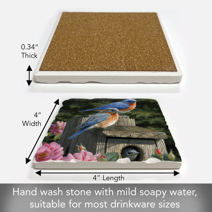 Thirstystone Bluebird Family Single Tumbled Tile Stone Coaster with Protective Cork Backing Manufactured in The USA 4" Square, Artistic, Easily Wipes Clean