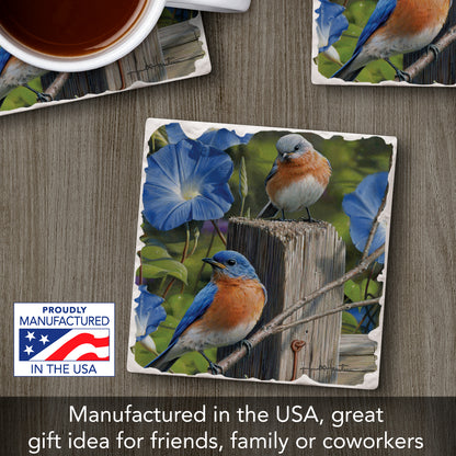 Thirstystone Pair of Bluebirds Single Tumbled Tile Stone Coaster with Protective Cork Backing Manufactured in The USA 4" Square, Artistic, Easily Wipes Clean