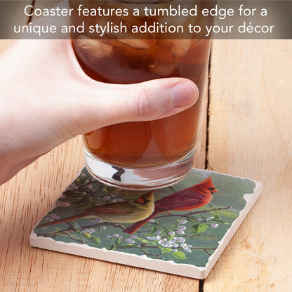 Thirstystone Cardinal Couple Single Tumbled Tile Stone Coaster with Protective Cork Backing Manufactured in The USA 4" Square, Artistic, Easily Wipes Clean