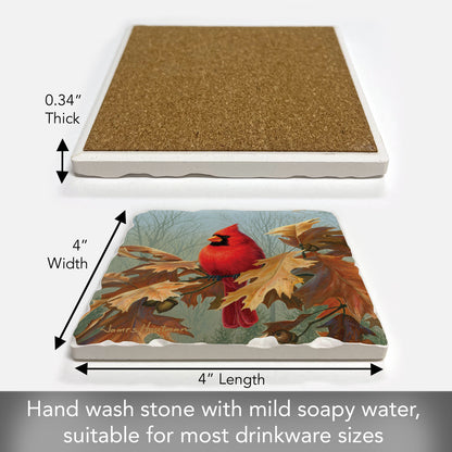 Thirstystone Fall Cardinal Single Tumbled Tile Stone Coaster with Protective Cork Backing Manufactured in The USA 4" Square, Artistic, Easily Wipes Clean