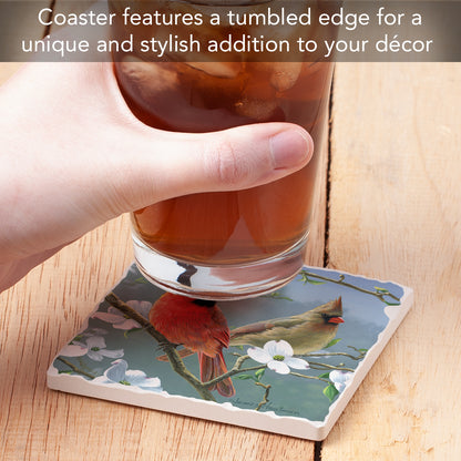 Thirstystone Blooming Cardinals Single Tumbled Tile Stone Coaster with Protective Cork Backing Manufactured in The USA 4" Square, Artistic, Easily Wipes Clean