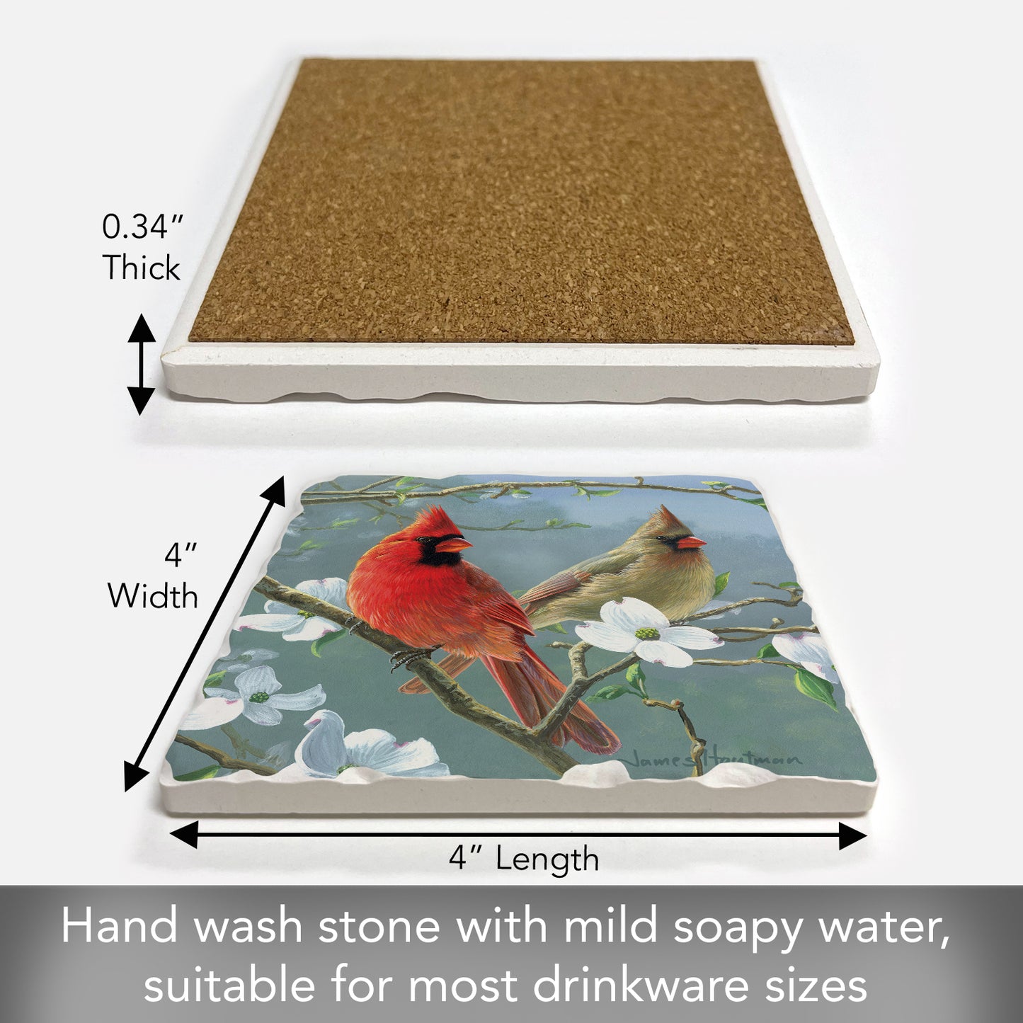 Thirstystone Blooming Cardinals Single Tumbled Tile Stone Coaster with Protective Cork Backing Manufactured in The USA 4" Square, Artistic, Easily Wipes Clean