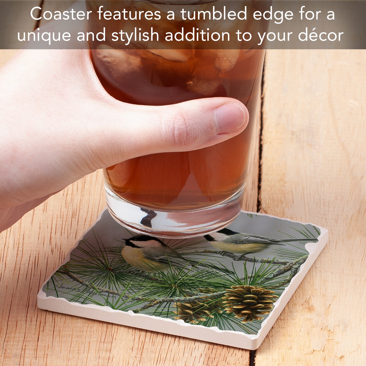 Thirstystone Chickadee Pine Tree Single Tumbled Tile Stone Coaster with Protective Cork Backing Manufactured in The USA 4" Square, Artistic, Easily Wipes Clean