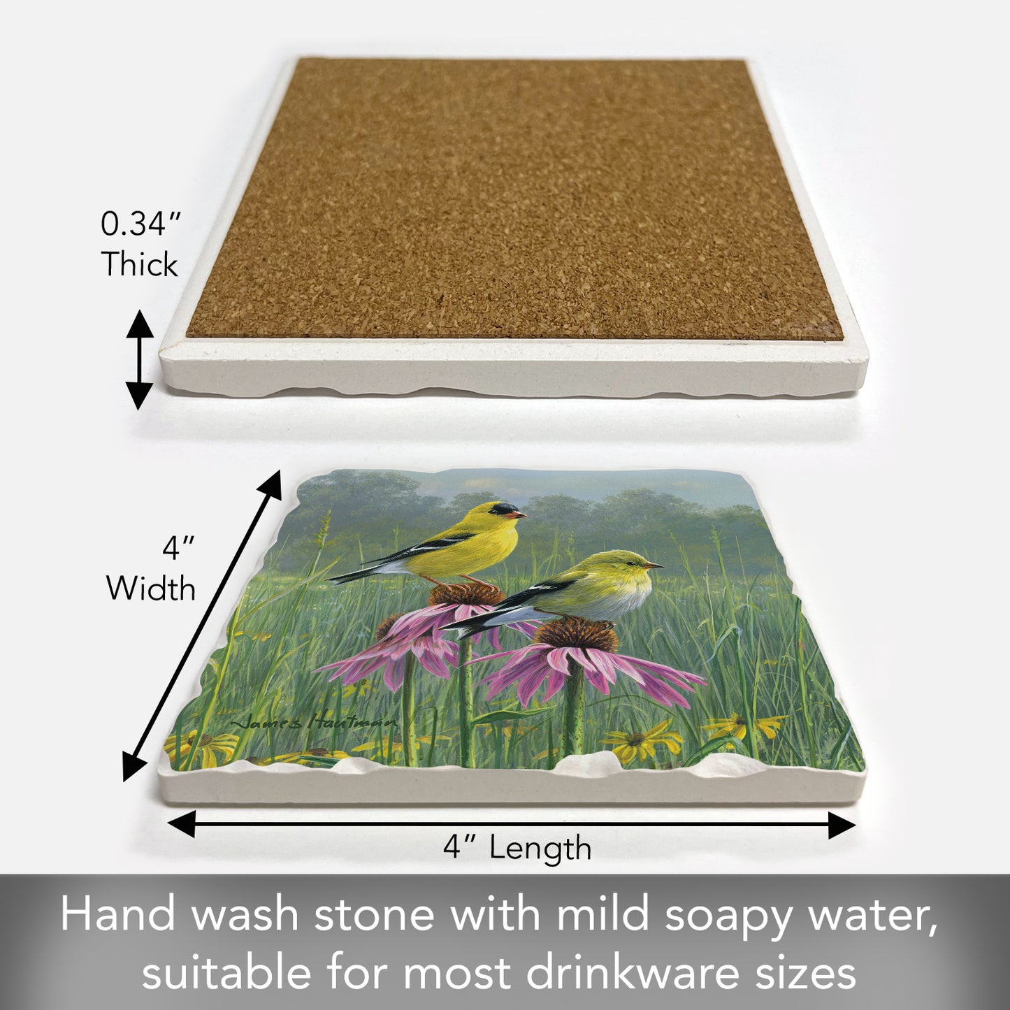 Thirstystone Purple Flower Perch Single Tumbled Tile Stone Coaster with Protective Cork Backing Manufactured in The USA 4" Square, Artistic, Easily Wipes Clean