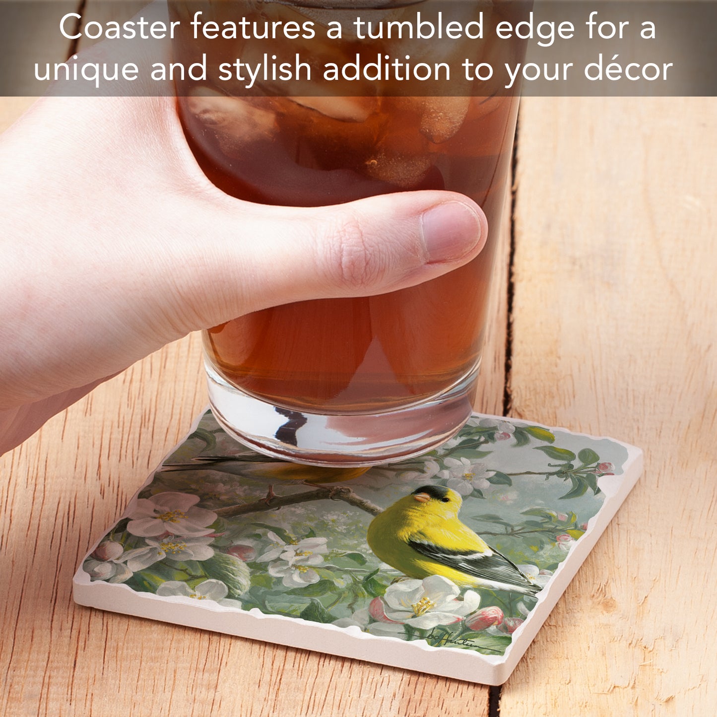 Thirstystone Goldfinches with White Blooms Single Tumbled Tile Stone Coaster with Protective Cork Backing Manufactured in The USA 4" Square, Artistic, Easily Wipes Clean