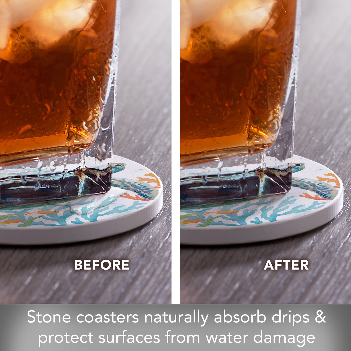 Thirstystone Sea Life Serenade 4 Pack Absorbent Stone Coasters 4" Diameter Manufactured in the USA