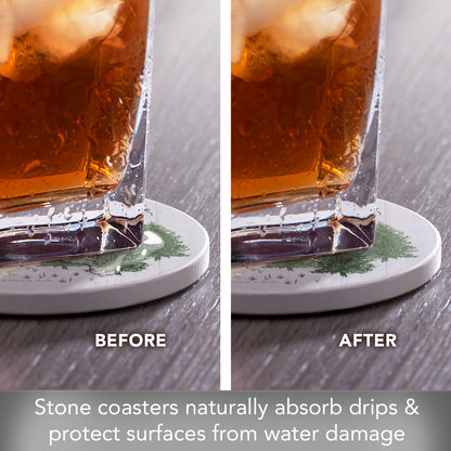 Thirstystone Winter Woodlands 4 Pack Round Absorbent Stone Coasters 4" Diameter