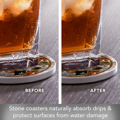 Thirstystone Kittens 4 Pack Round Absorbent Stone Coasters 4" Diameter Manufactured in the USA
