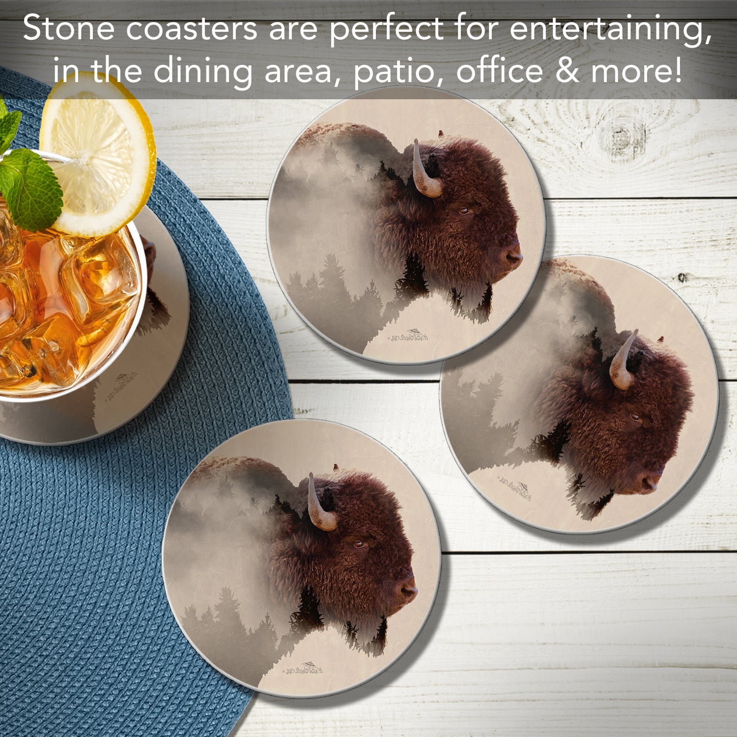 Thirstystone Buffalo Scene 4 Pack Round Absorbent Stone Coasters 4" Diameter Manufactured in the USA