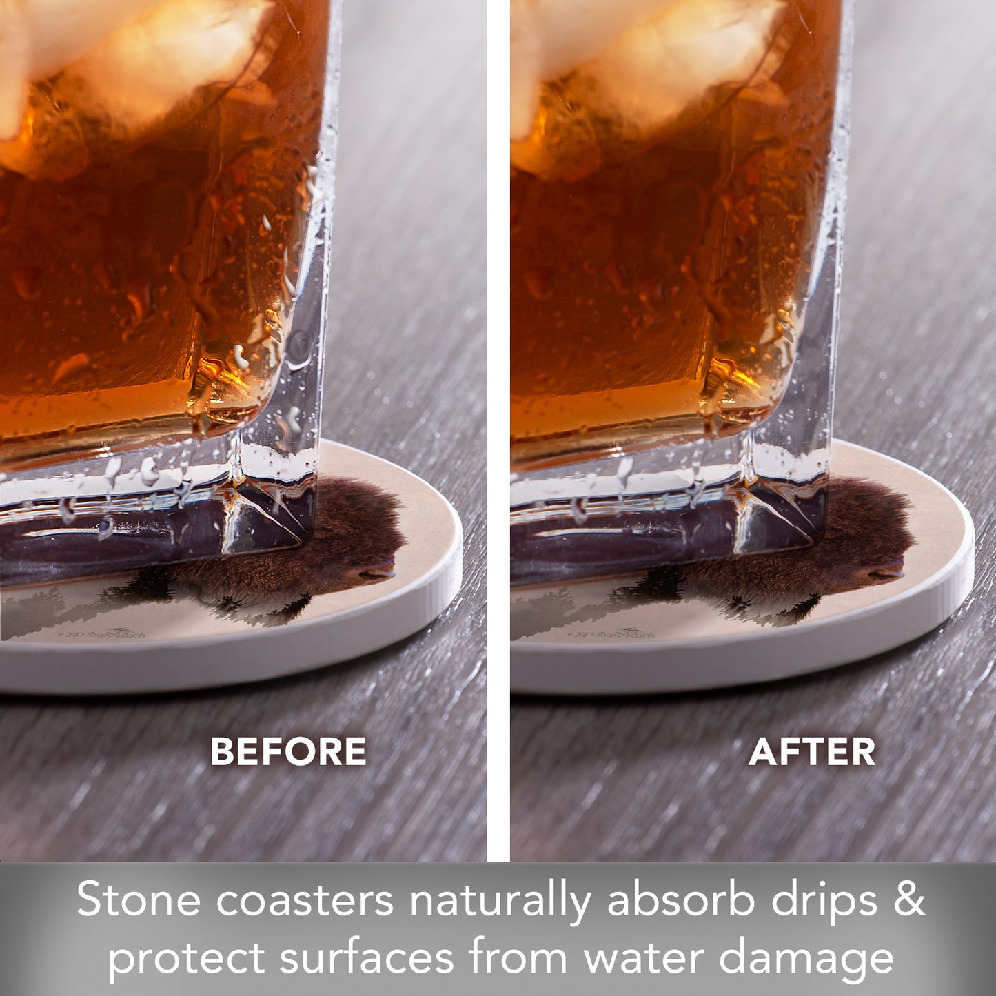 Thirstystone Buffalo Scene 4 Pack Round Absorbent Stone Coasters 4" Diameter Manufactured in the USA