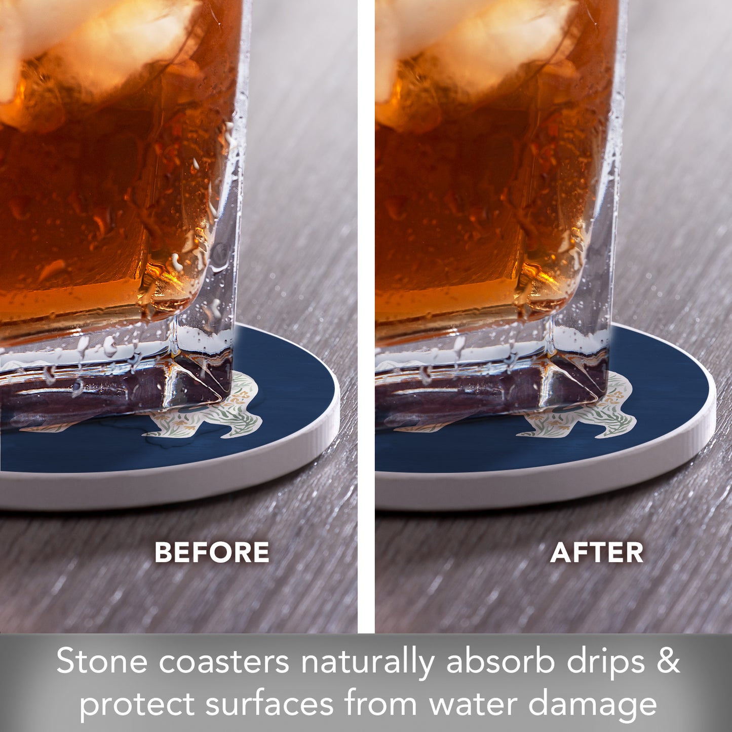 Thirstystone Papa Bear 4 Pack Round Absorbent Stone Coasters 4" Diameter Manufactured in the USA