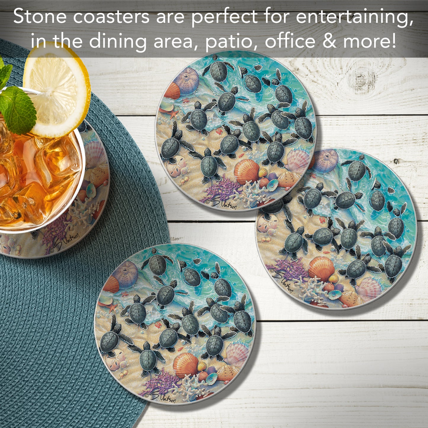 Thirstystone Turtle Hatchlings 4 Pack Round Absorbent Stone Coasters 4" Diameter Manufactured in the USA