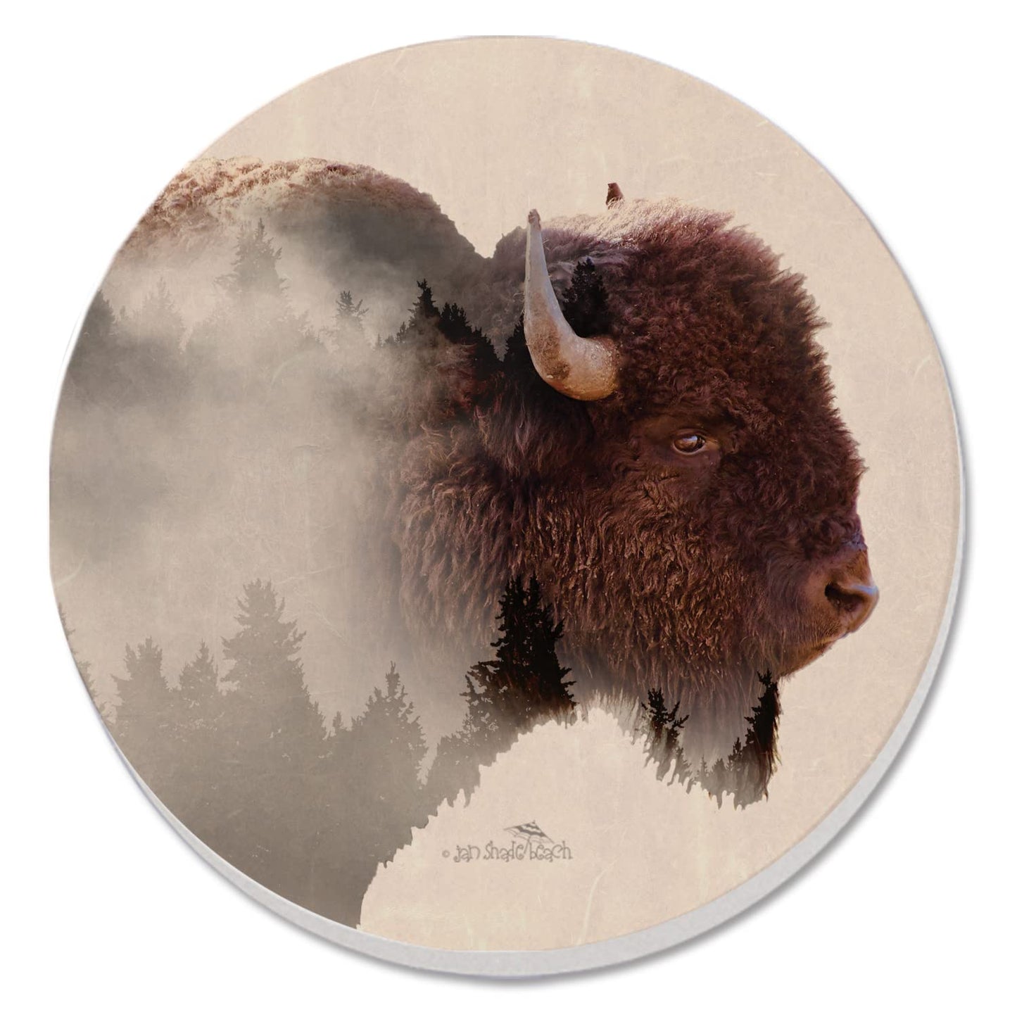 Thirstystone Buffalo Scene 4 Pack Round Absorbent Stone Coasters 4" Diameter Manufactured in the USA