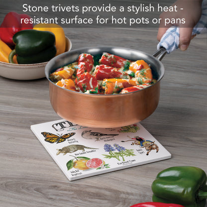 Thirstystone Texas State Icons Decorative Heat Tolerant Stone Trivet with Non-Skid Cork Backing 8” Square