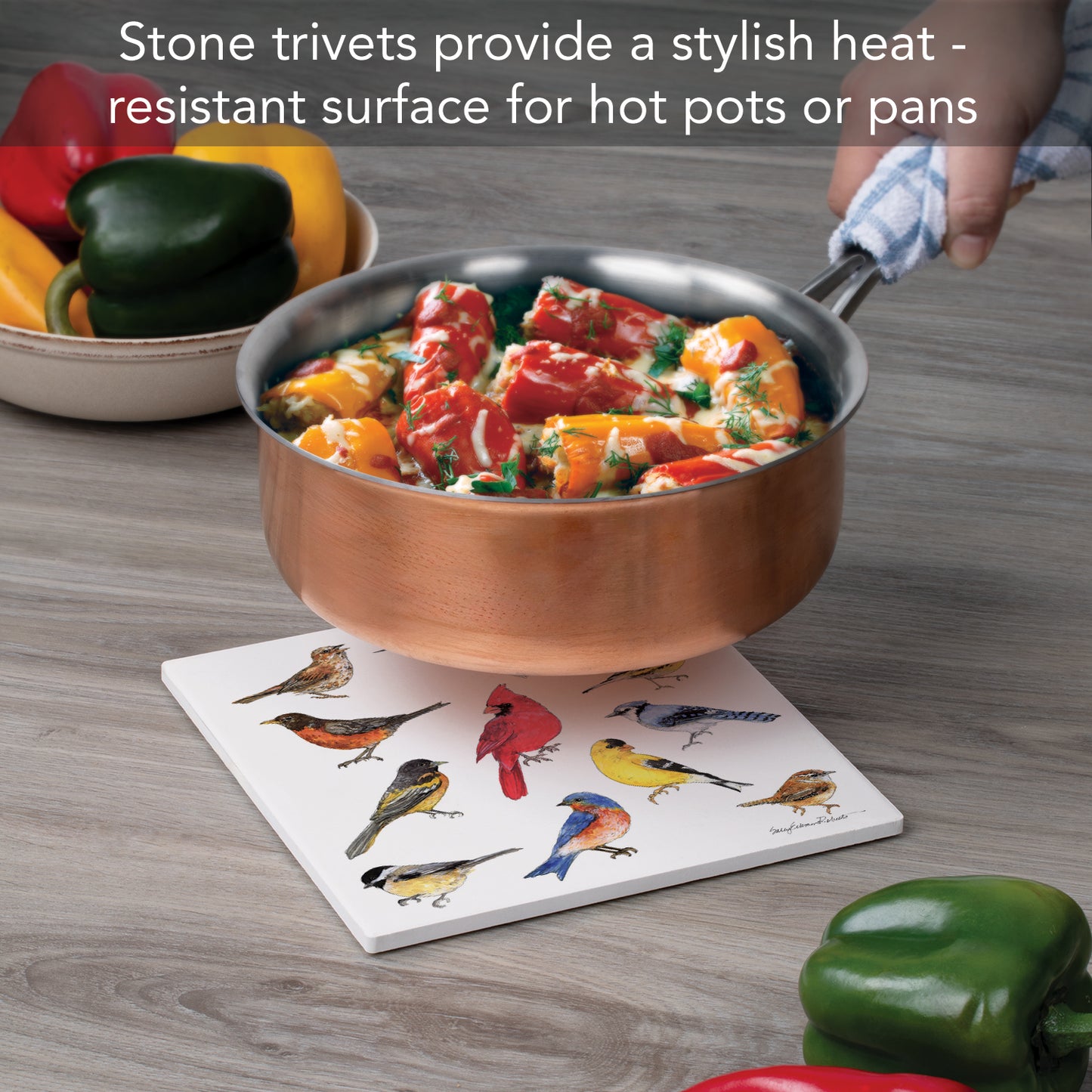 Thirstystone Bird Study Decorative Heat Tolerant Stone Trivet with Non-Skid Cork Backing 8” Square