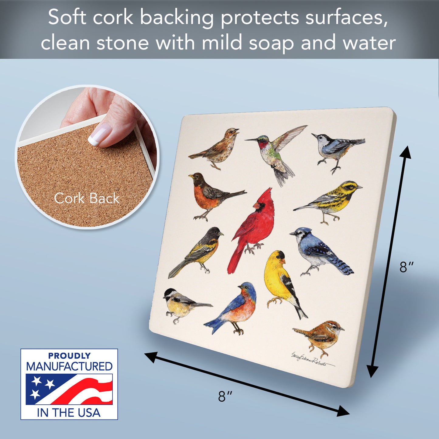 Thirstystone Bird Study Decorative Heat Tolerant Stone Trivet with Non-Skid Cork Backing 8” Square