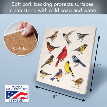 Thirstystone Bird Study Decorative Heat Tolerant Stone Trivet with Non-Skid Cork Backing 8” Square