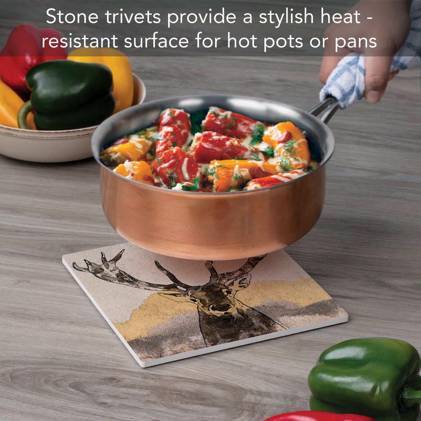 Thirstystone Whitetail Deer Decorative Heat Tolerant Stone Trivet with Non-Skid Cork Backing 8” Square
