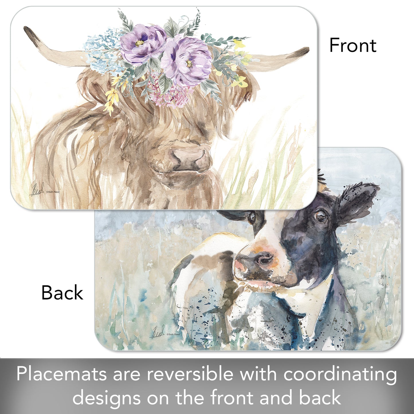 CounterArt Home on The Range 4 Pack Reversible Easy Care Flexible Placemats Made in the USA