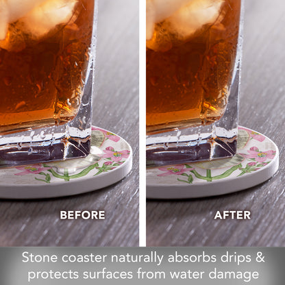Thirstystone Christina Sulphur Butterfly Single Round Absorbent Stone Coaster with Protective Cork Backing Manufactured in The USA 4" Diameter
