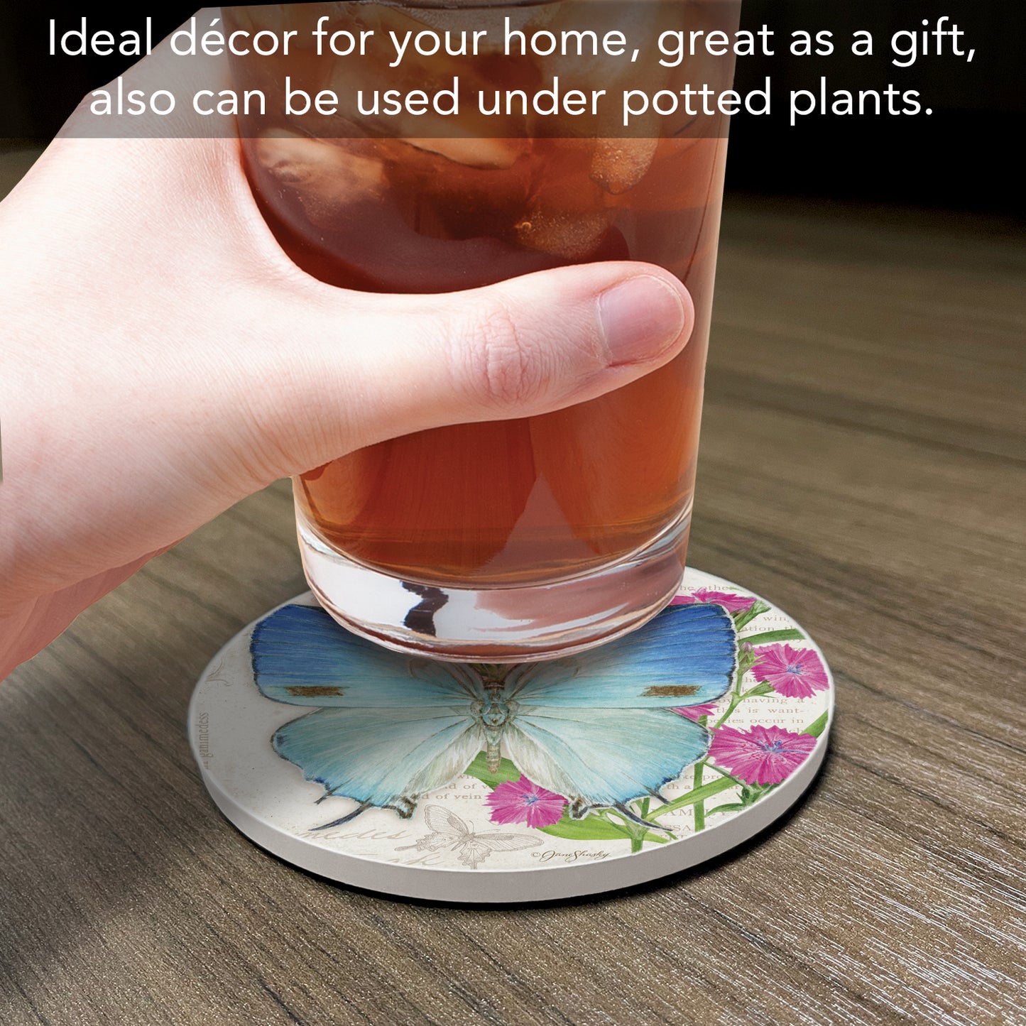 Thirstystone Hairstreak Butterfly Single Round Absorbent Stone Coaster with Protective Cork Backing Manufactured in The USA 4" Diameter