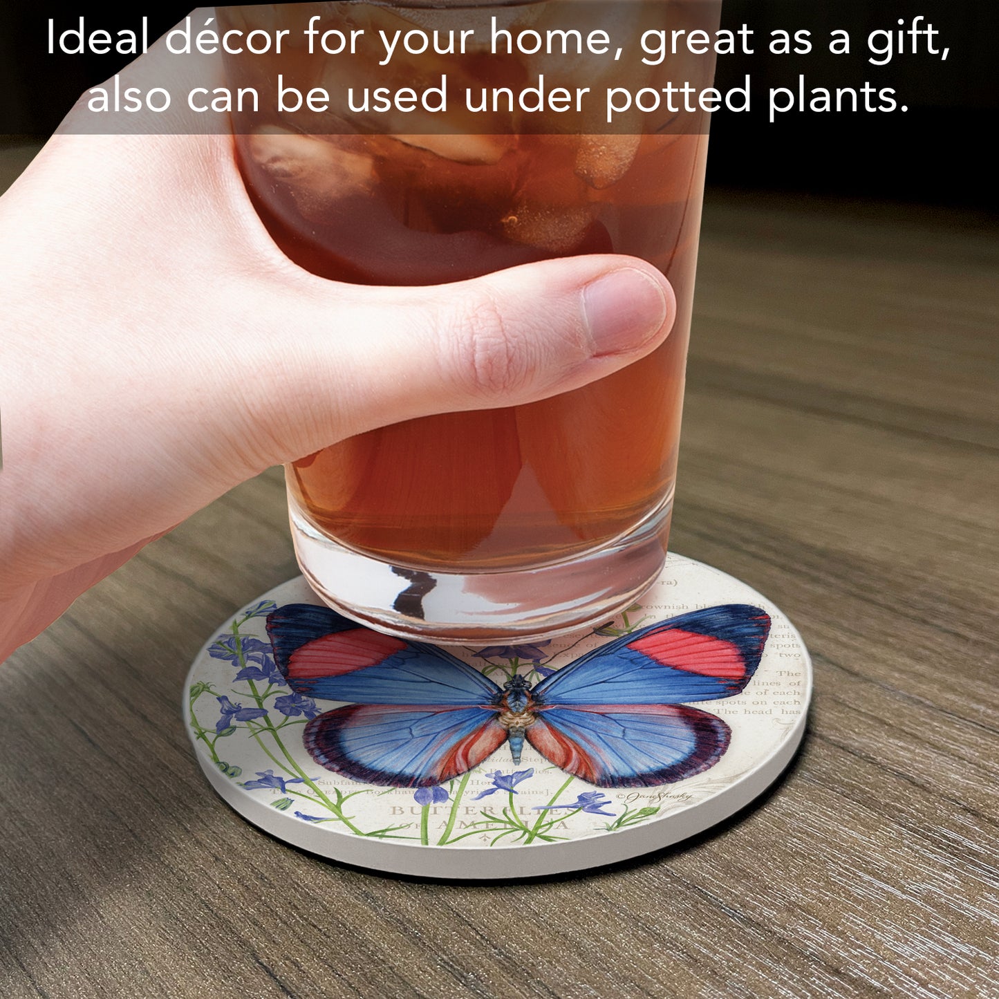 Thirstystone Painted Beauty Butterfly Single Round Absorbent Stone Coaster with Protective Cork Backing Manufactured in The USA 4" Diameter