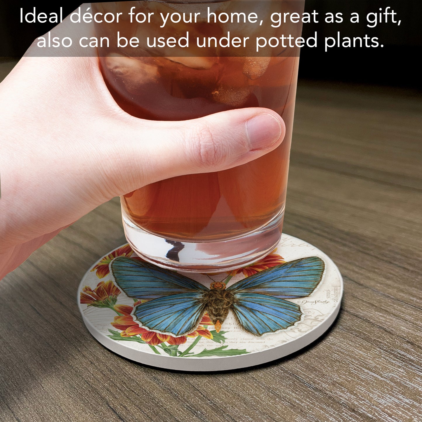 Thirstystone Scalloped Edge Firetip Butterfly Single Round Absorbent Stone Coaster with Protective Cork Backing Manufactured in The USA 4" Diameter