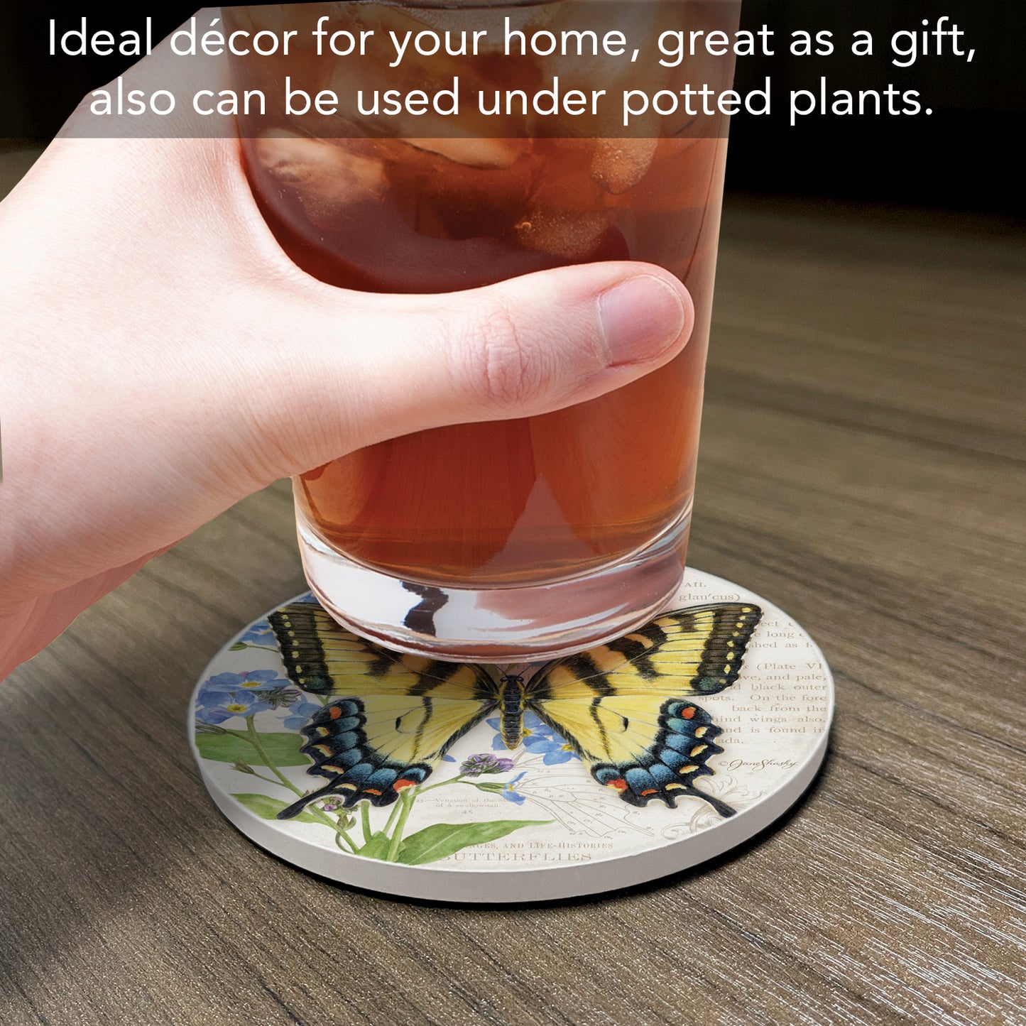 Thirstystone Tiger Swallowtail Butterfly Single Round Absorbent Stone Coaster with Protective Cork Backing Manufactured in The USA 4" Diameter