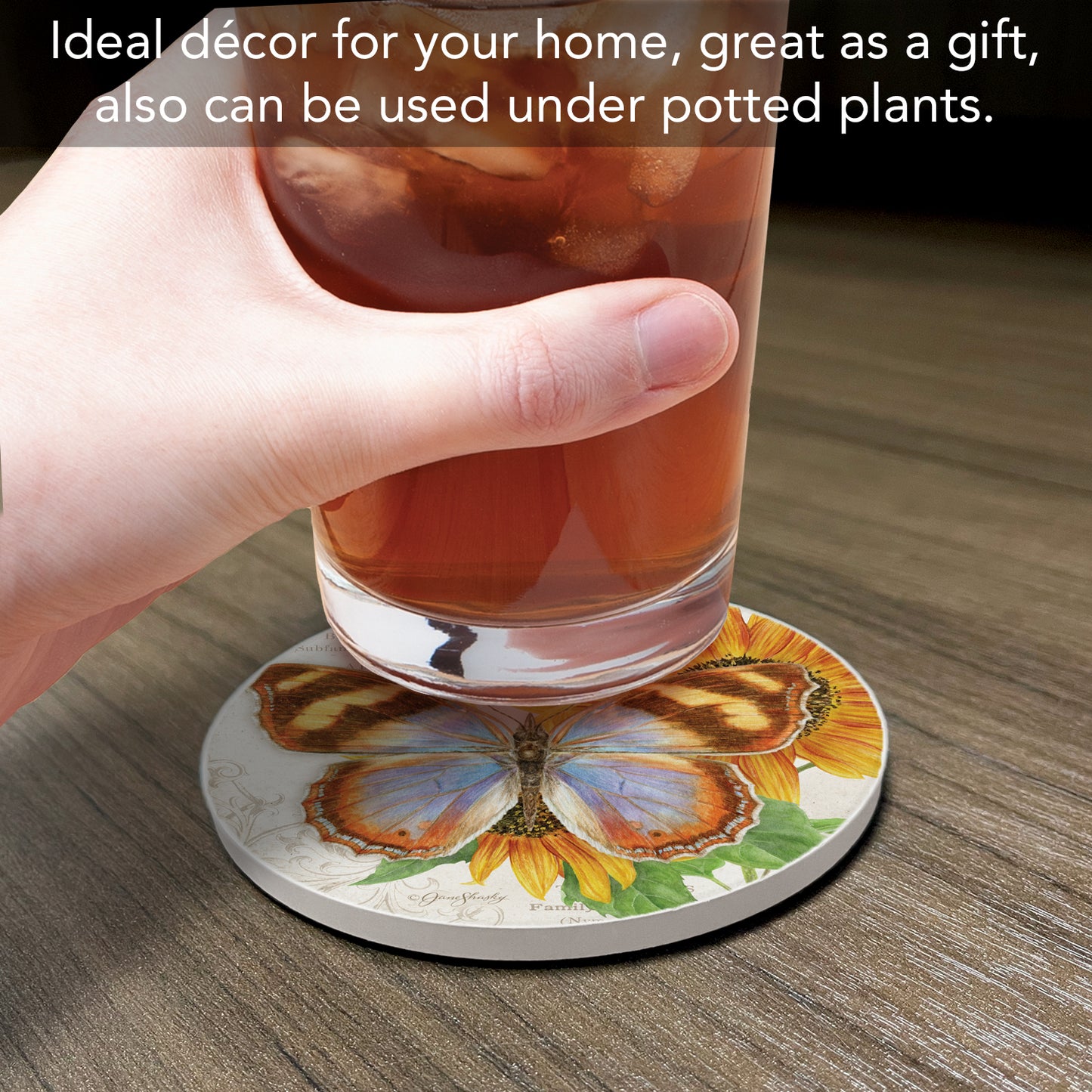 Thirstystone Variable Banner Butterfly Single Round Absorbent Stone Coaster with Protective Cork Backing Manufactured in The USA 4" Diameter