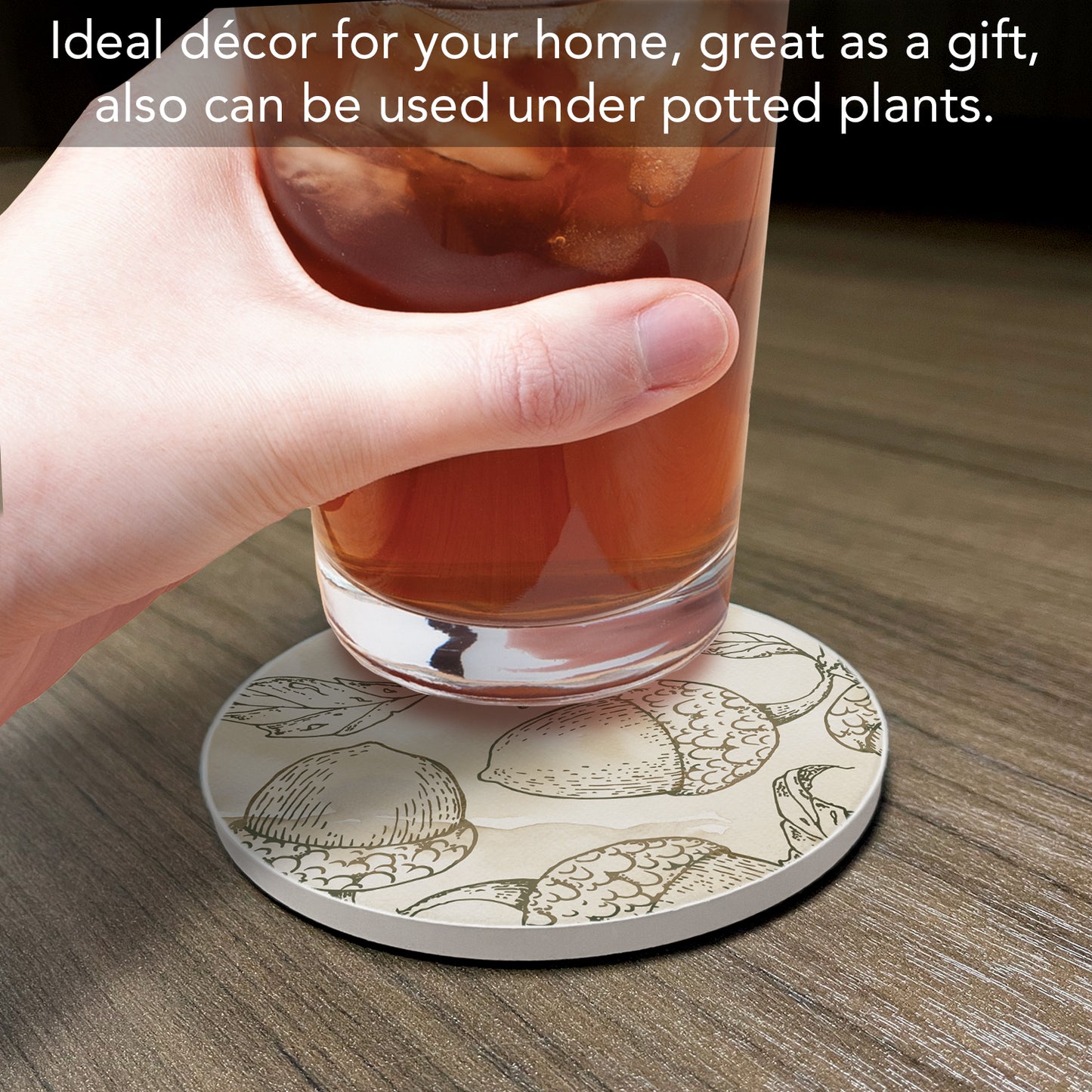 Thirstystone Acorn Round Absorbent Stone Coaster with Protective Cork Backing Manufactured in The USA 4" Diameter